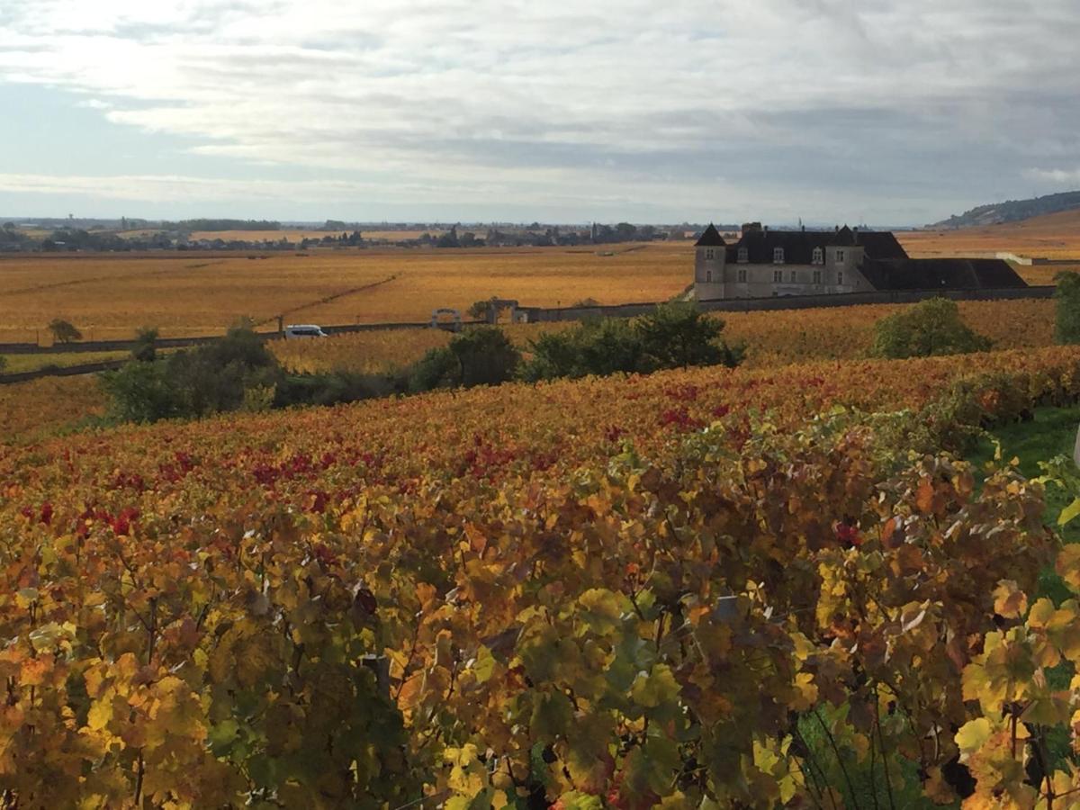 Les Hauts de Fixin, 50m2 avec extérieur sur la Route des Grands Crus, Dijon Sud Extérieur photo