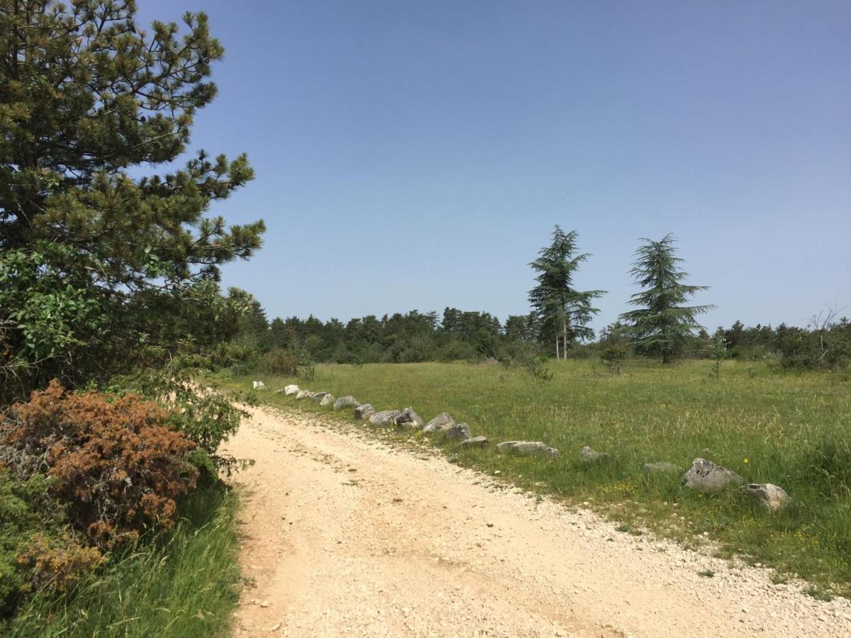 Les Hauts de Fixin, 50m2 avec extérieur sur la Route des Grands Crus, Dijon Sud Extérieur photo