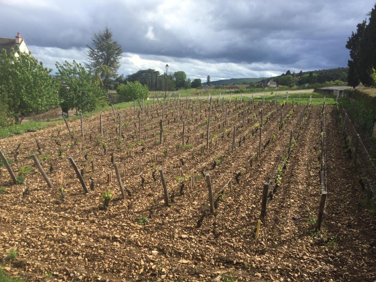 Les Hauts de Fixin, 50m2 avec extérieur sur la Route des Grands Crus, Dijon Sud Extérieur photo